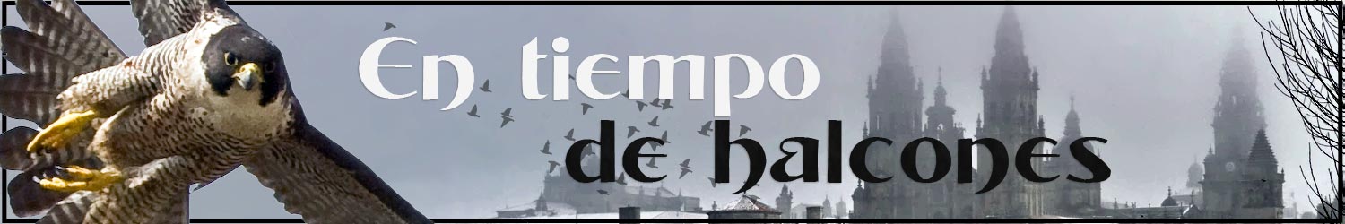 En tiempo de halcones