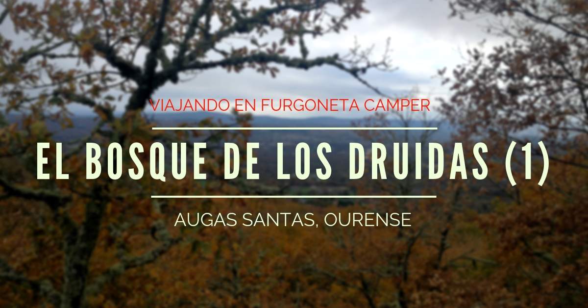 El bosque de los druidas, augas santas 01