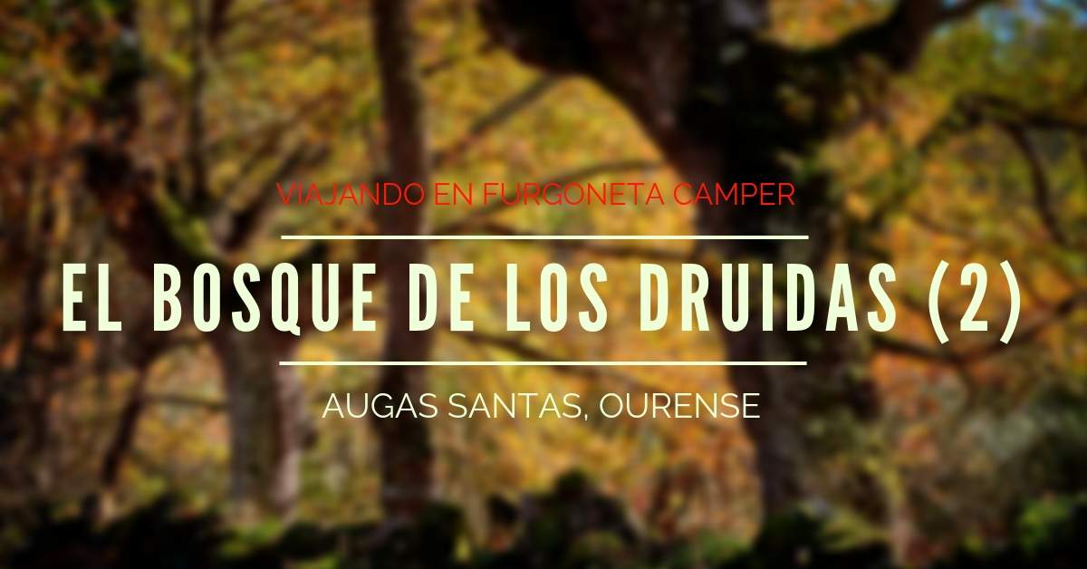 El bosque de los druidas augas santas 02